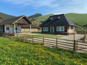 Hygge Loft Bucovina